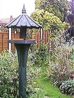 The Garden in Spring 98