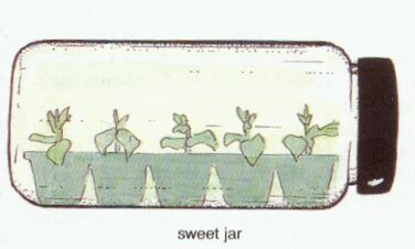 a sweet jar